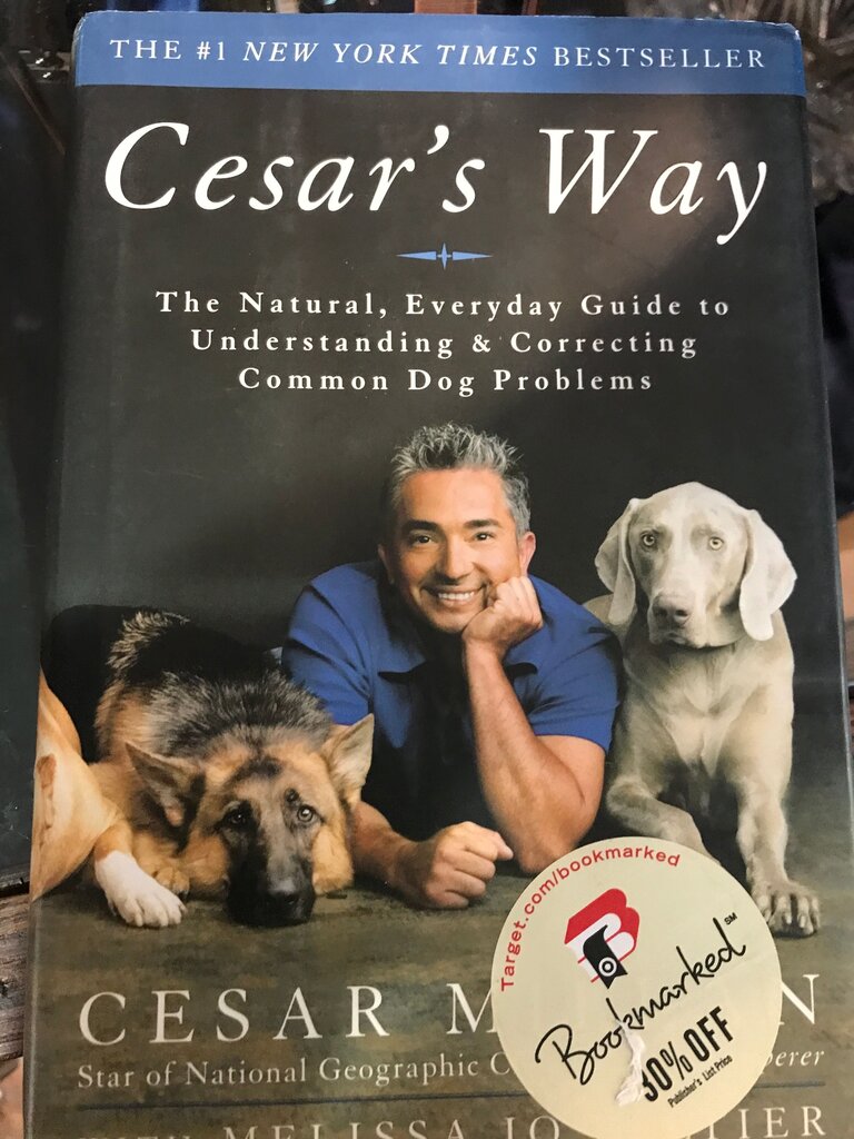 Cesar's Way