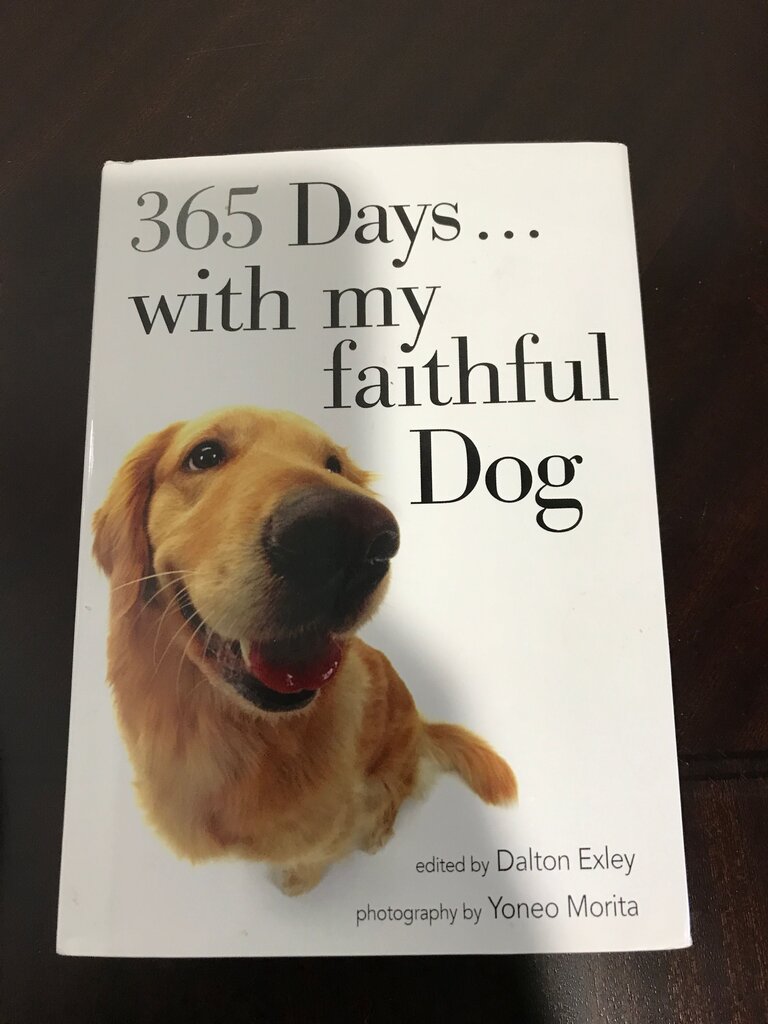 365 Days with My Faithful Dog
