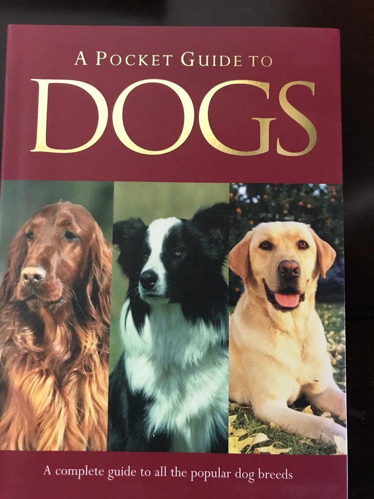 A Pocket Guide to Dogs