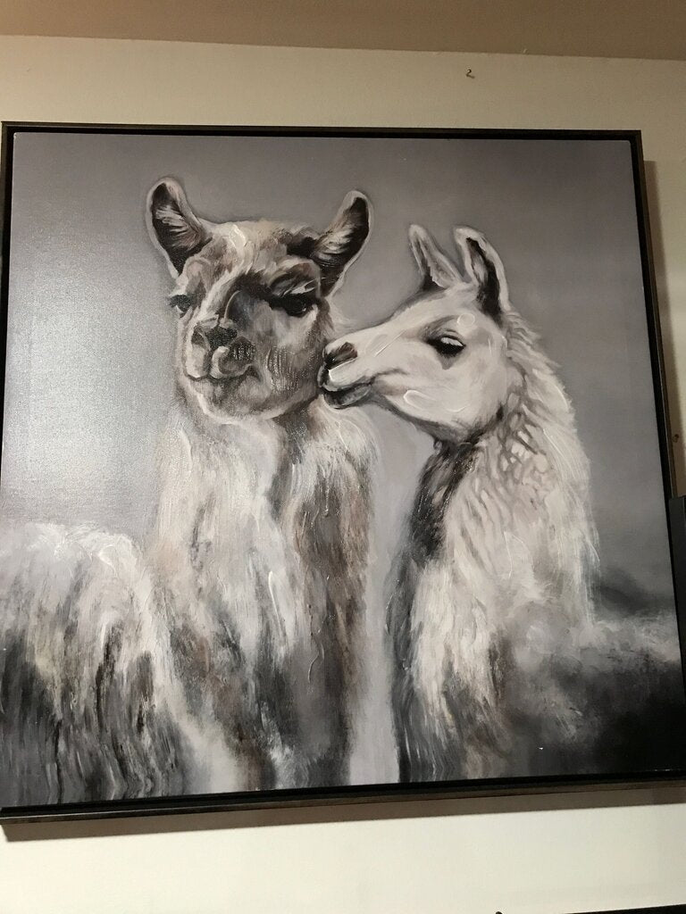 Framed Art Print of Two Llamas