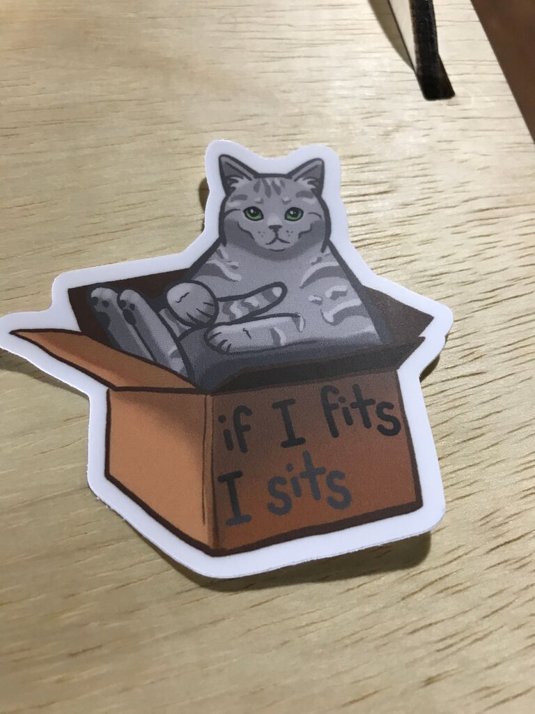 If I Fits I Sits Cat Sticker
