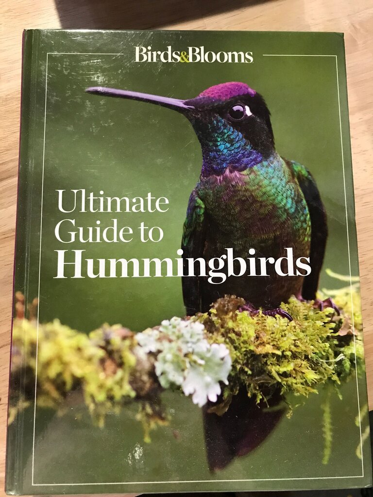 Ultimate Guide to Hummingbirds