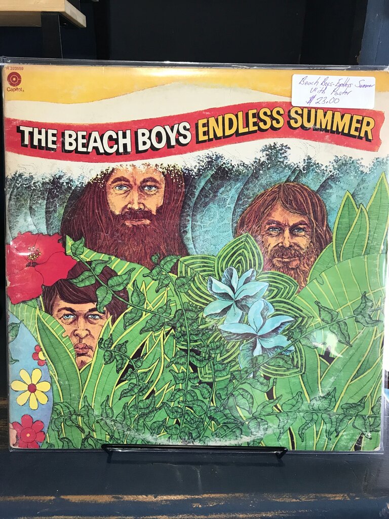 The Beach Boys Endless Summer Vinyl Record