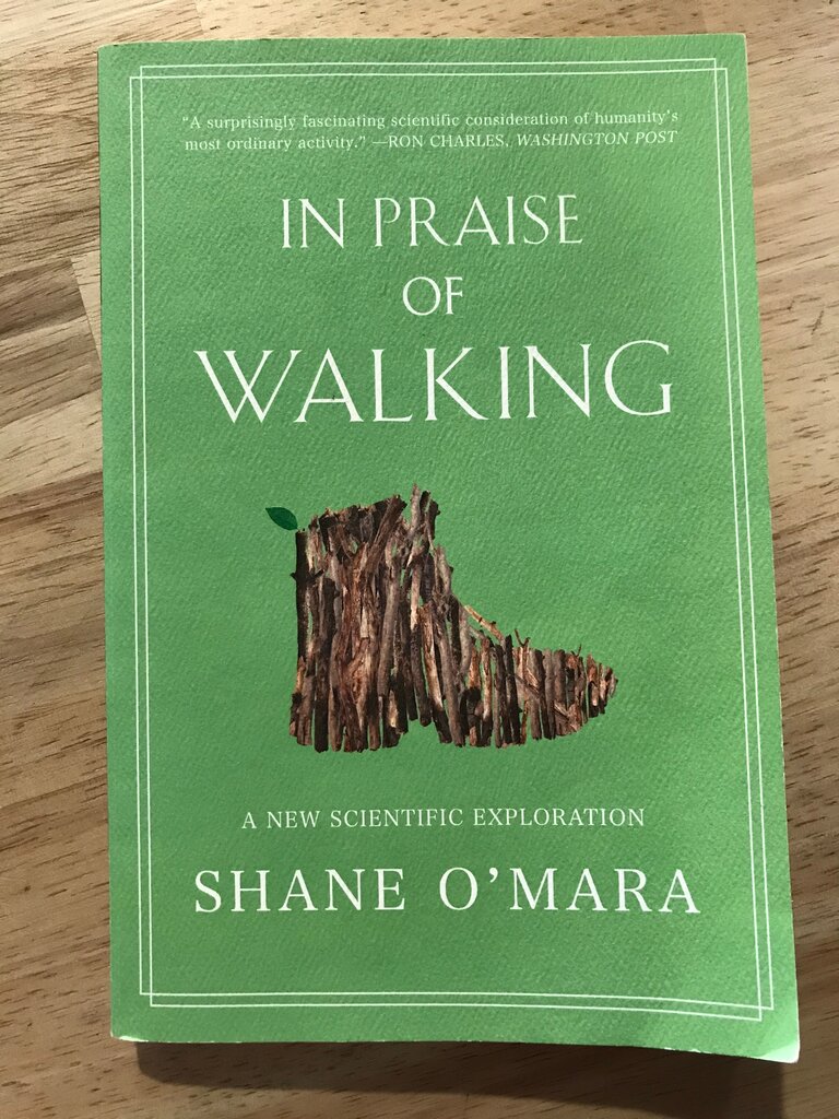 In Praise of Walking
