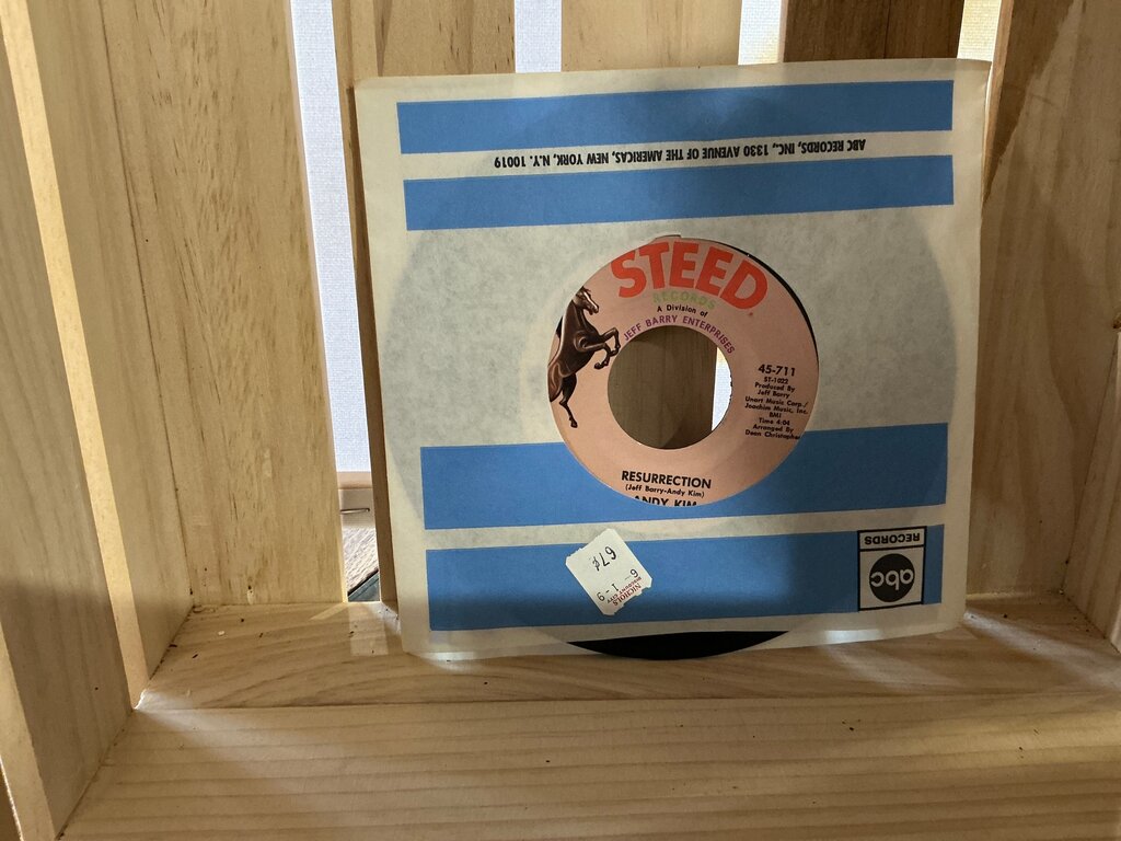 Andy Kim 45 RMP Records - Resurrection and Rainbow Ride
